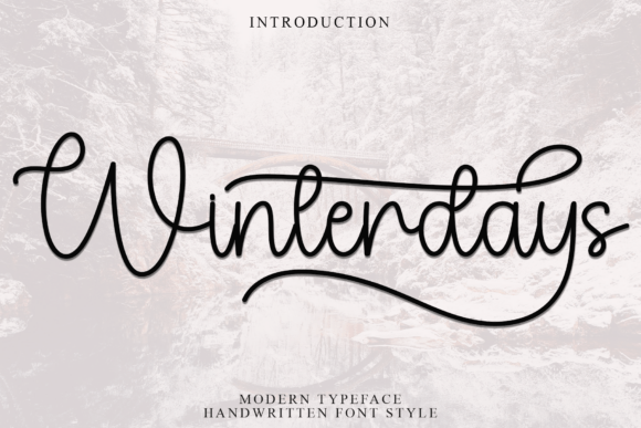 Winterdays: A Warm Script Amp Typeface for Friendly Branding